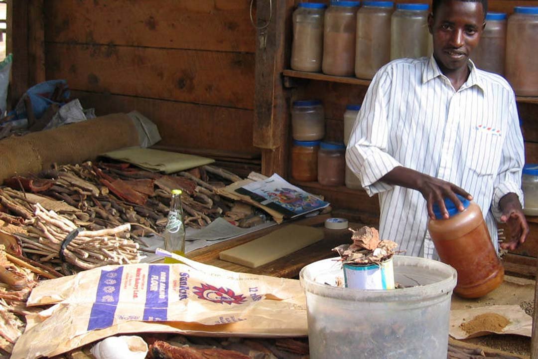 Indigenous Medicine in the Echadi Nation